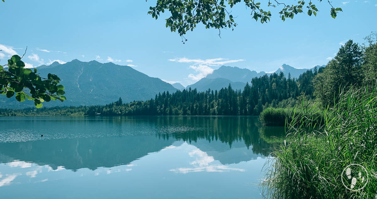 Rundwanderweg Barmsee mit Kinderwagen | mamameilen.de